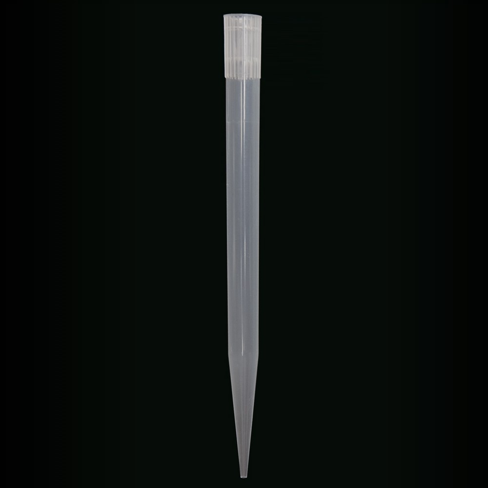 2  200028